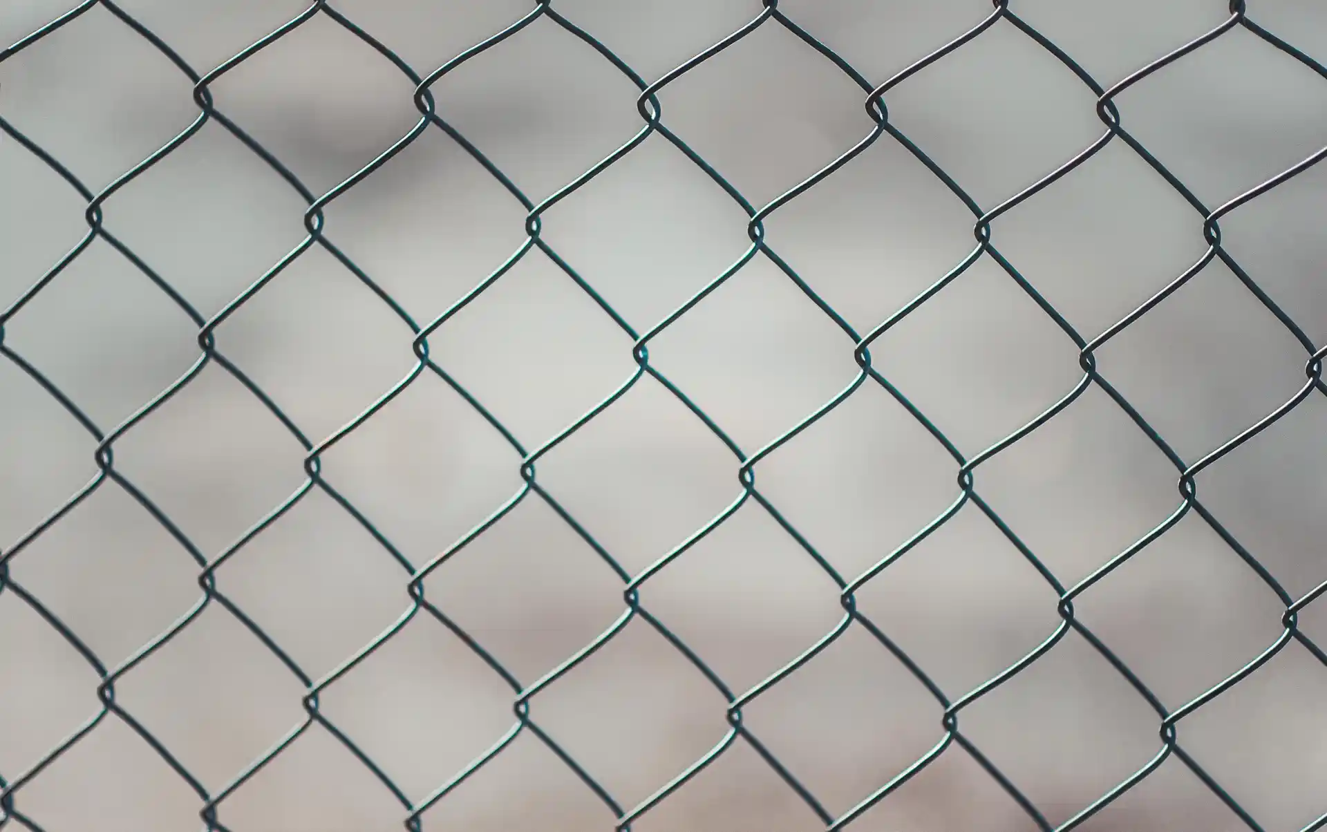 Wire Mesh Products